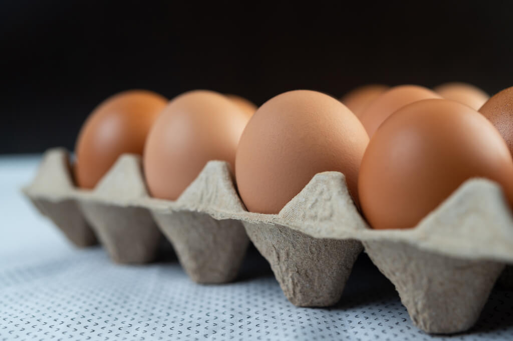 Białko w jajkach